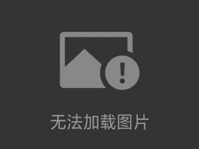 美國sherwood齒輪泵離心泵柱塞泵隔膜泵